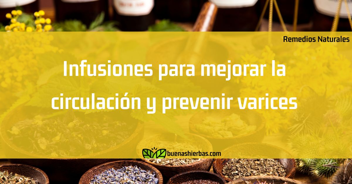 ᐅ Infusiones para mejorar la circulación y prevenir varices