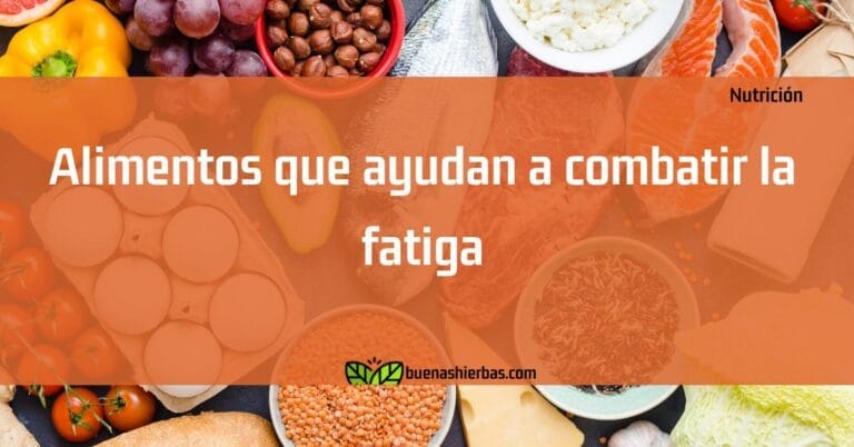 Alimentos que ayudan a combatir la fatiga