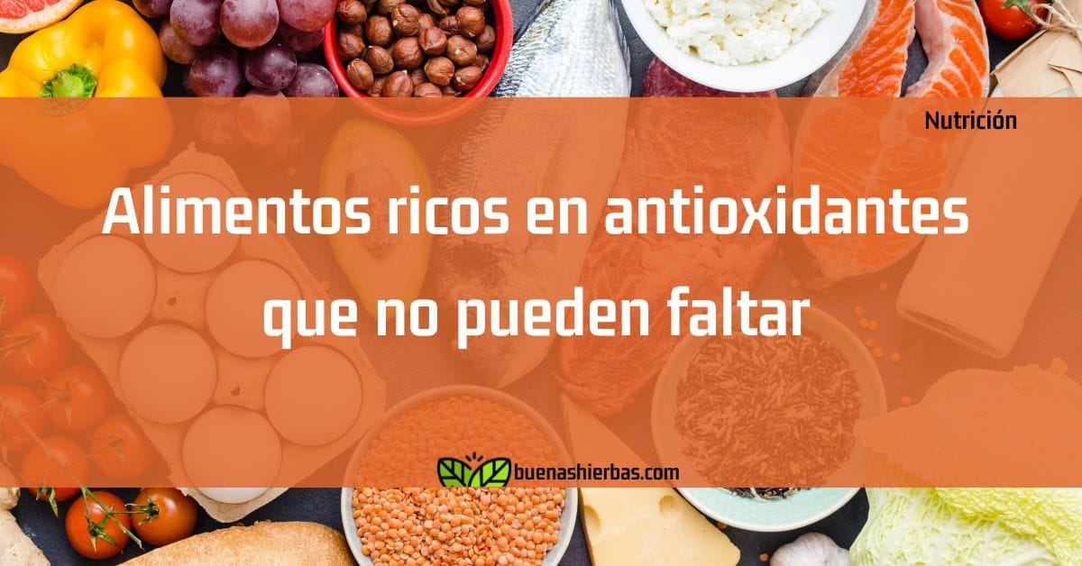 Alimentos ricos en antioxidantes que no pueden faltar