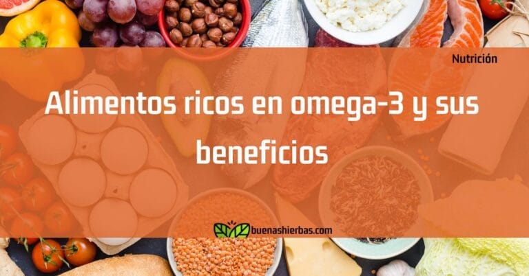 Alimentos ricos en omega-3 y sus beneficios