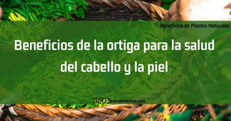 Beneficios de la ortiga para la salud del cabello y la piel