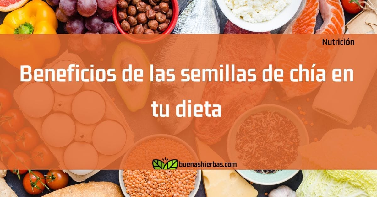 Beneficios de las semillas de chía en tu dieta