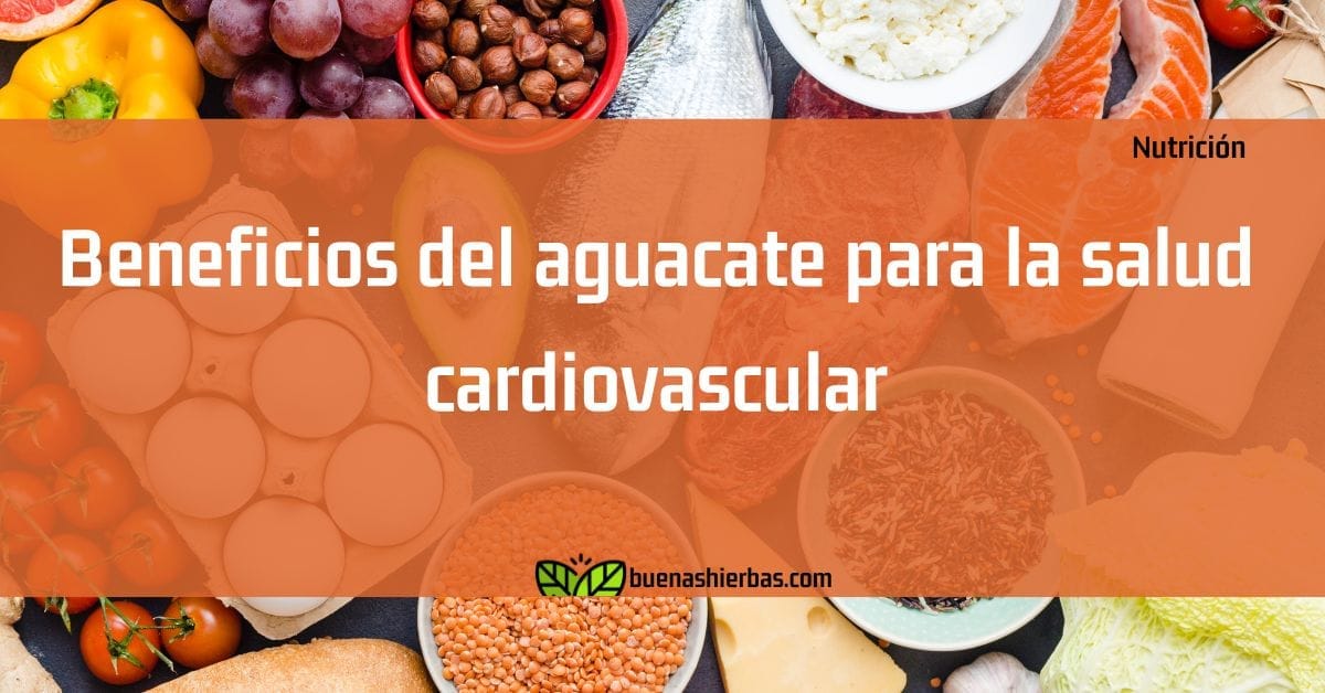 Beneficios del aguacate para la salud cardiovascular
