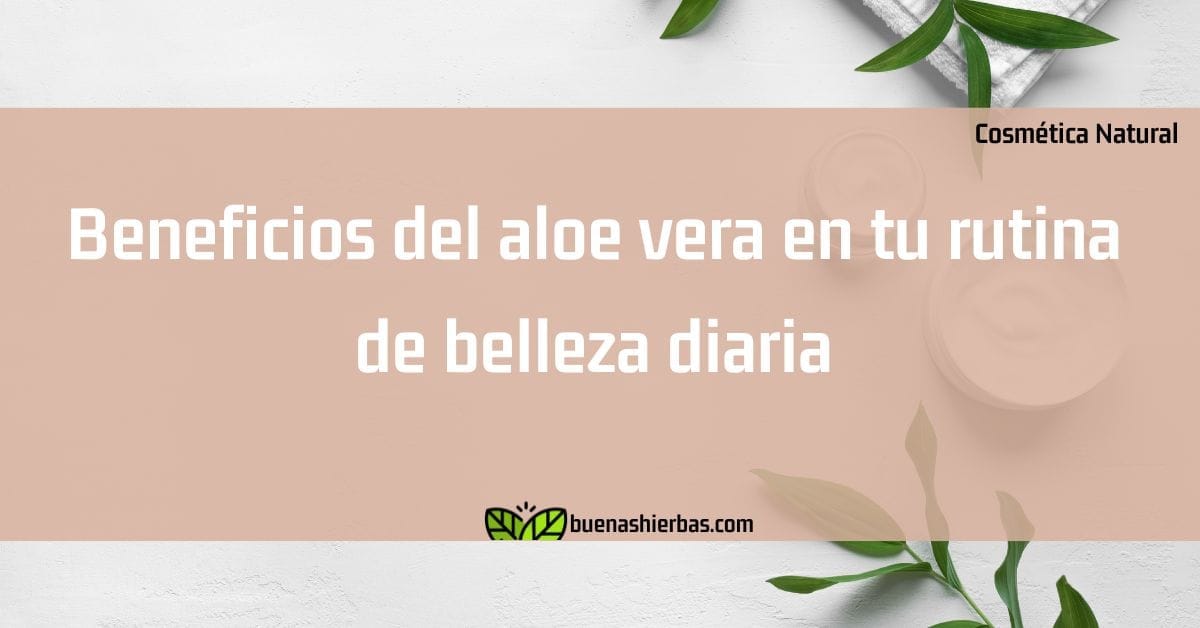 Beneficios del aloe vera en tu rutina de belleza diaria