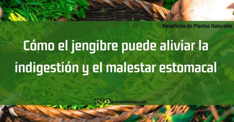 Cómo el jengibre puede aliviar la indigestión y el malestar estomacal