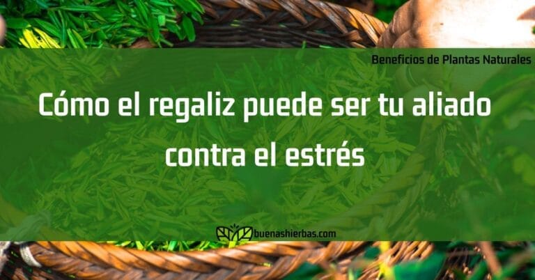 Cómo el regaliz puede ser tu aliado contra el estrés