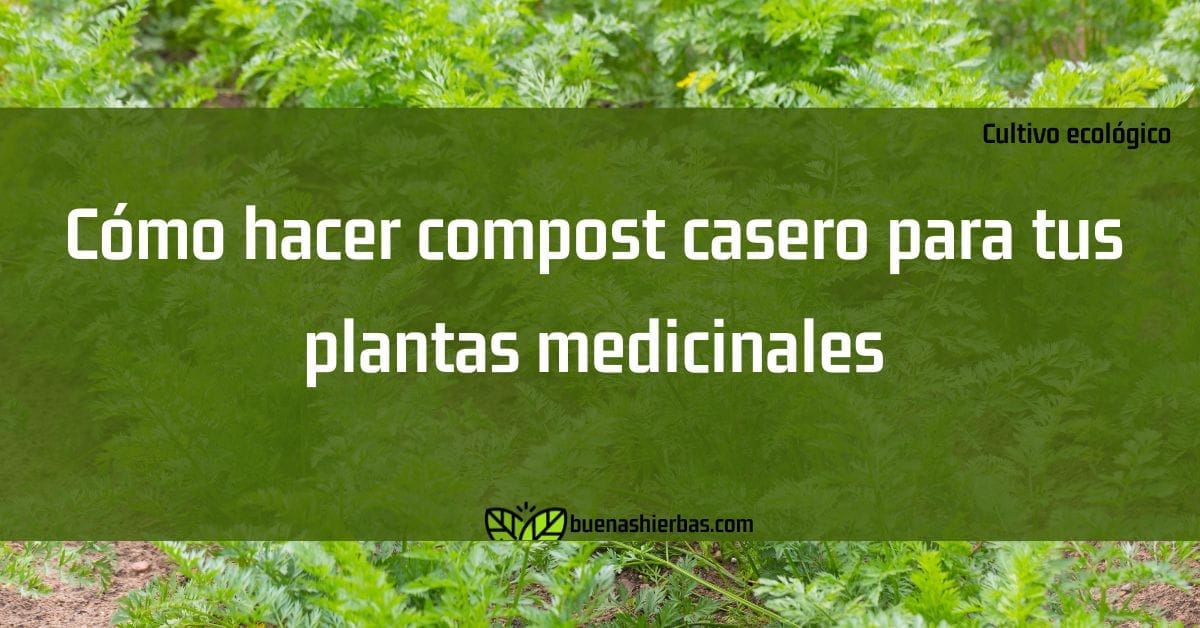 Cómo hacer compost casero para tus plantas medicinales