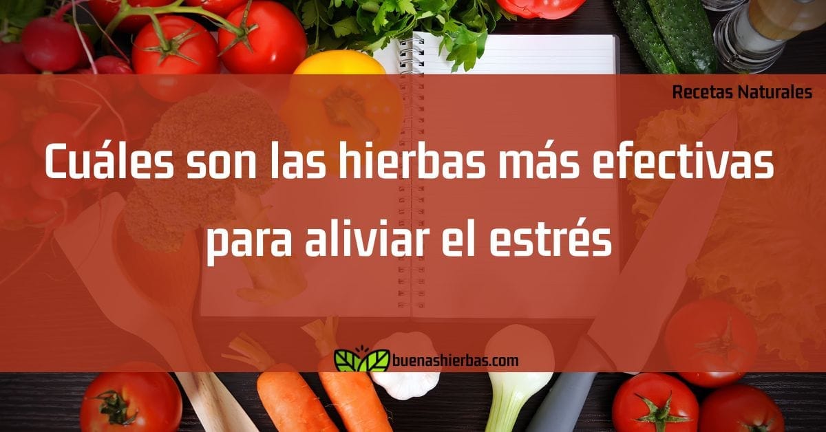 Cuáles son las hierbas más efectivas para aliviar el estrés