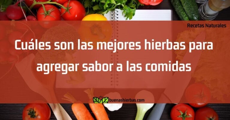 Cuáles son las mejores hierbas para agregar sabor a las comidas
