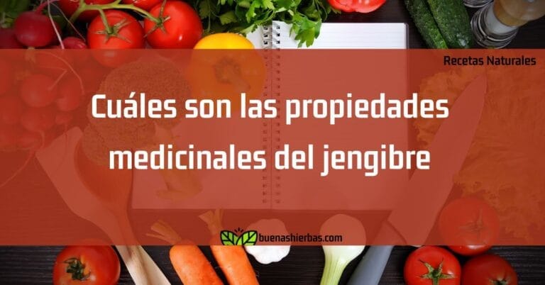 Cuáles son las propiedades medicinales del jengibre