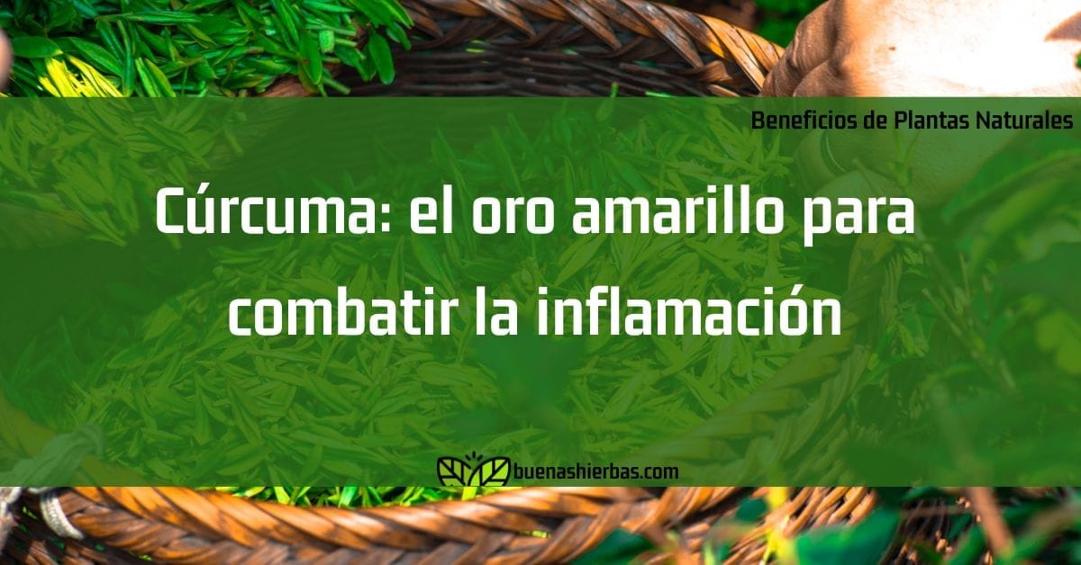 Cúrcuma: el oro amarillo para combatir la inflamación