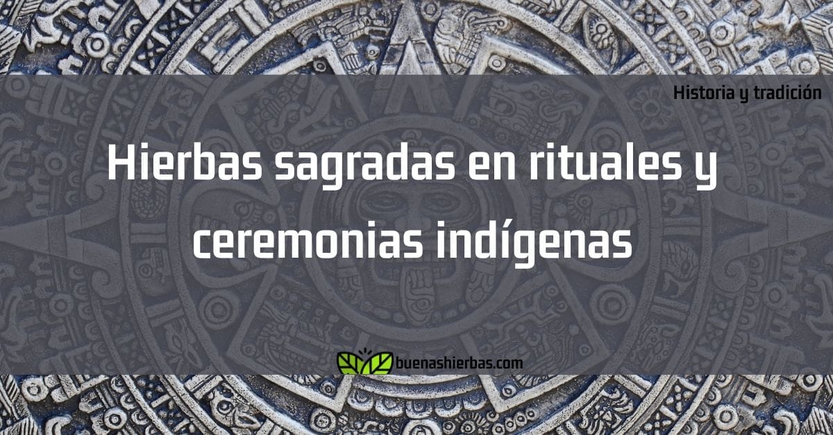 Hierbas sagradas en rituales y ceremonias indígenas