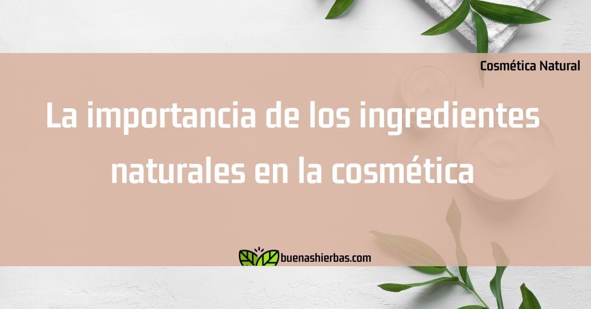La importancia de los ingredientes naturales en la cosmética