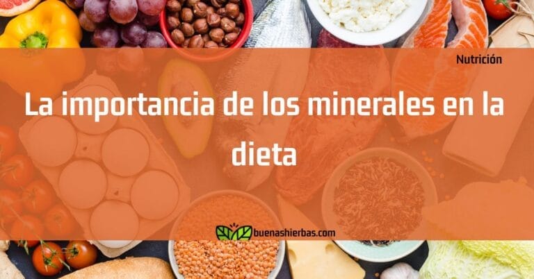 La importancia de los minerales en la dieta