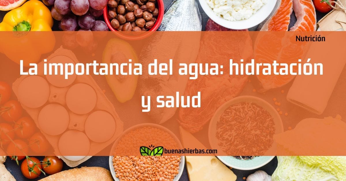 La importancia del agua: hidratación y salud