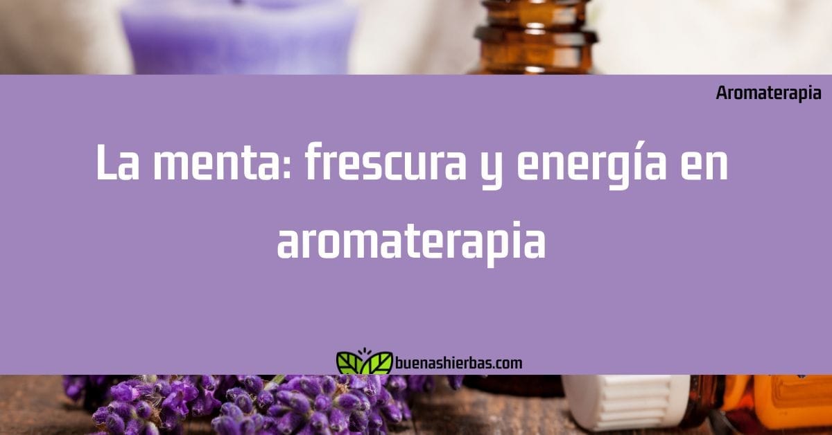 La menta: frescura y energía en aromaterapia