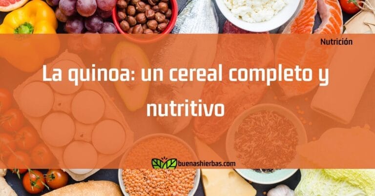 La quinoa: un cereal completo y nutritivo
