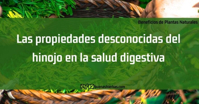 Las propiedades desconocidas del hinojo en la salud digestiva