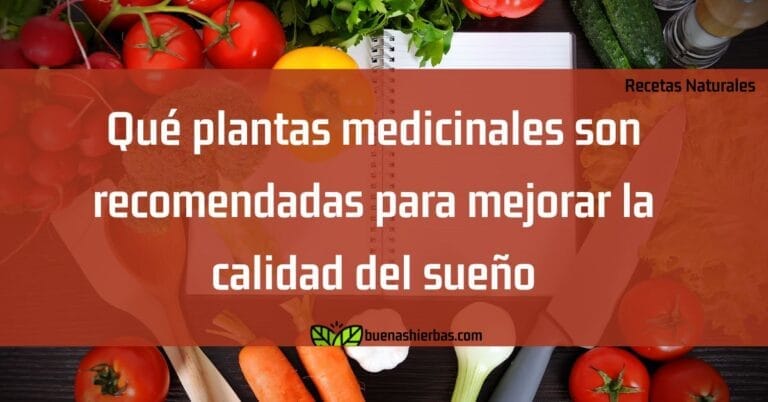 Qué plantas medicinales son recomendadas para mejorar la calidad del sueño