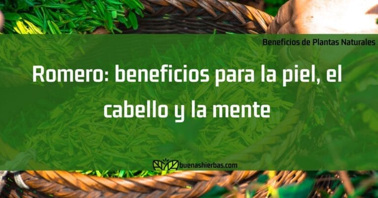 Romero: beneficios para la piel